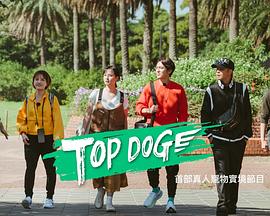 吾爱吃瓜《TOP DOG》免费在线观看