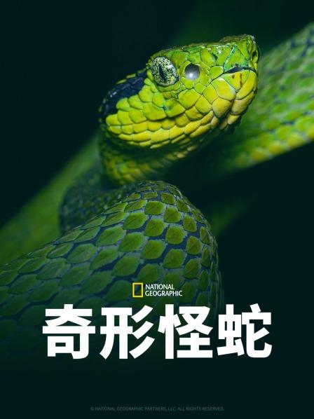 呦乐园《奇形怪蛇》免费在线观看